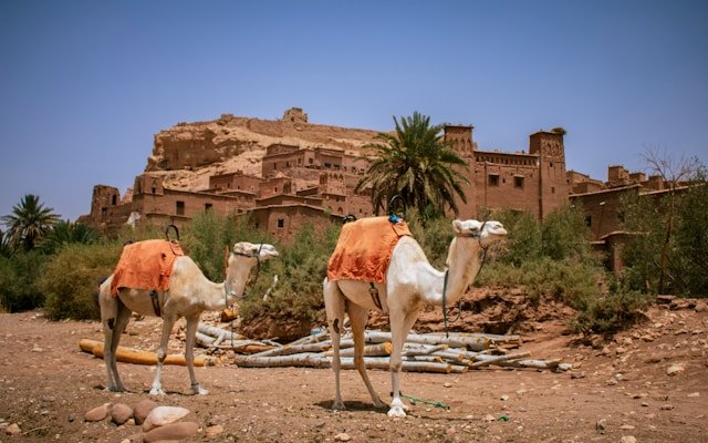 ait ben haddou